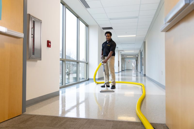 Hardwood Floor Cleaner at Farmington. MN