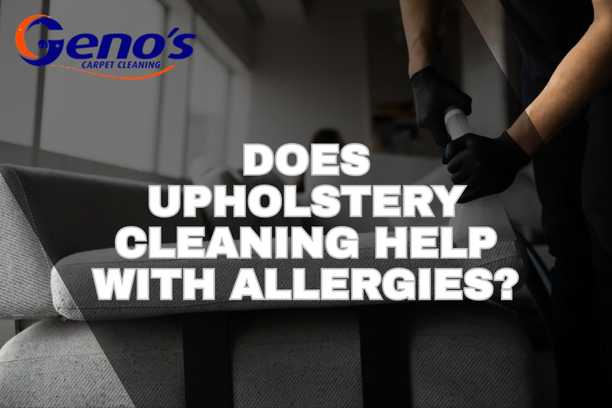 Upholstery Cleaning Help