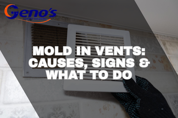 Mold in Vents